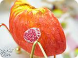 DSC03491-387
