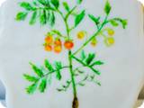 DSC03895-617