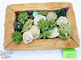DSC04057-678