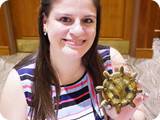 DSC02935-37