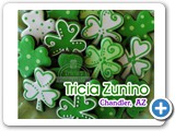 slideshow__0035_Tricia Zunino
