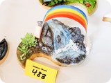 cookiecon_2020_cookies_0180